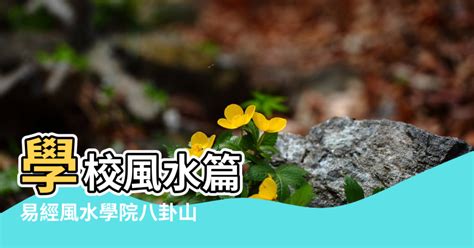 望學校風水|【風水學校附近】房子旁邊有學校風水 